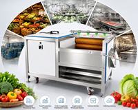 Automatische borstelrolwasmachine |   Groentewasser |   Fruitreiniger |   Voedselverwerkingsapparatuur