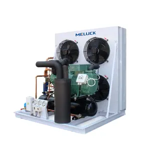 Unidad condensadora de baja temperatura de refrigeración comercial para cámara frigorífica