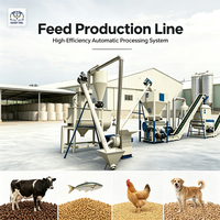 Nouvelle ligne de machine à granulés d'aliments pour animaux à faible coût et de moyenne taille, faible consommation d'énergie, pour la fabrication d'aliments pour volailles et bétail dans les exploitations familiales