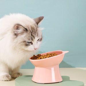 Mignon bols de nourriture <span class=keywords><strong>pour</strong></span> chat et chien en plastique personnalisés <span class=keywords><strong>pas</strong></span> <span class=keywords><strong>cher</strong></span> <span class=keywords><strong>chiot</strong></span> chien mangeoires <span class=keywords><strong>pour</strong></span> chat <span class=keywords><strong>chiot</strong></span> chaton bol à <span class=keywords><strong>lait</strong></span> - Product Image 6