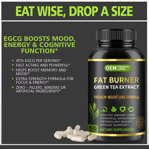 ओम गंध वयस्क हरी चाय अर्क हरी कॉफी बीन्स एवी कैप्सूल में सुधार अस्थि घनत्व बाल वृद्धि हर्बल सप्लीमेंट 2 - Product Image 3