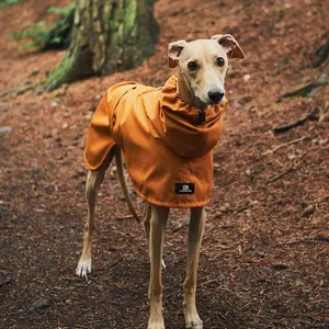 Qiqu Pet Supplies Custom New Designer Luxury Waterproof Dog Raincoat Clothes Apparels For Italian Greyhound Gripper Whippet Dogs