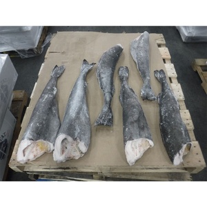 Filet de morue noire de qualité supérieure Kingsun Foods, morue HG congelée dans un processus IQF, emballée dans un sac - Product Image 6