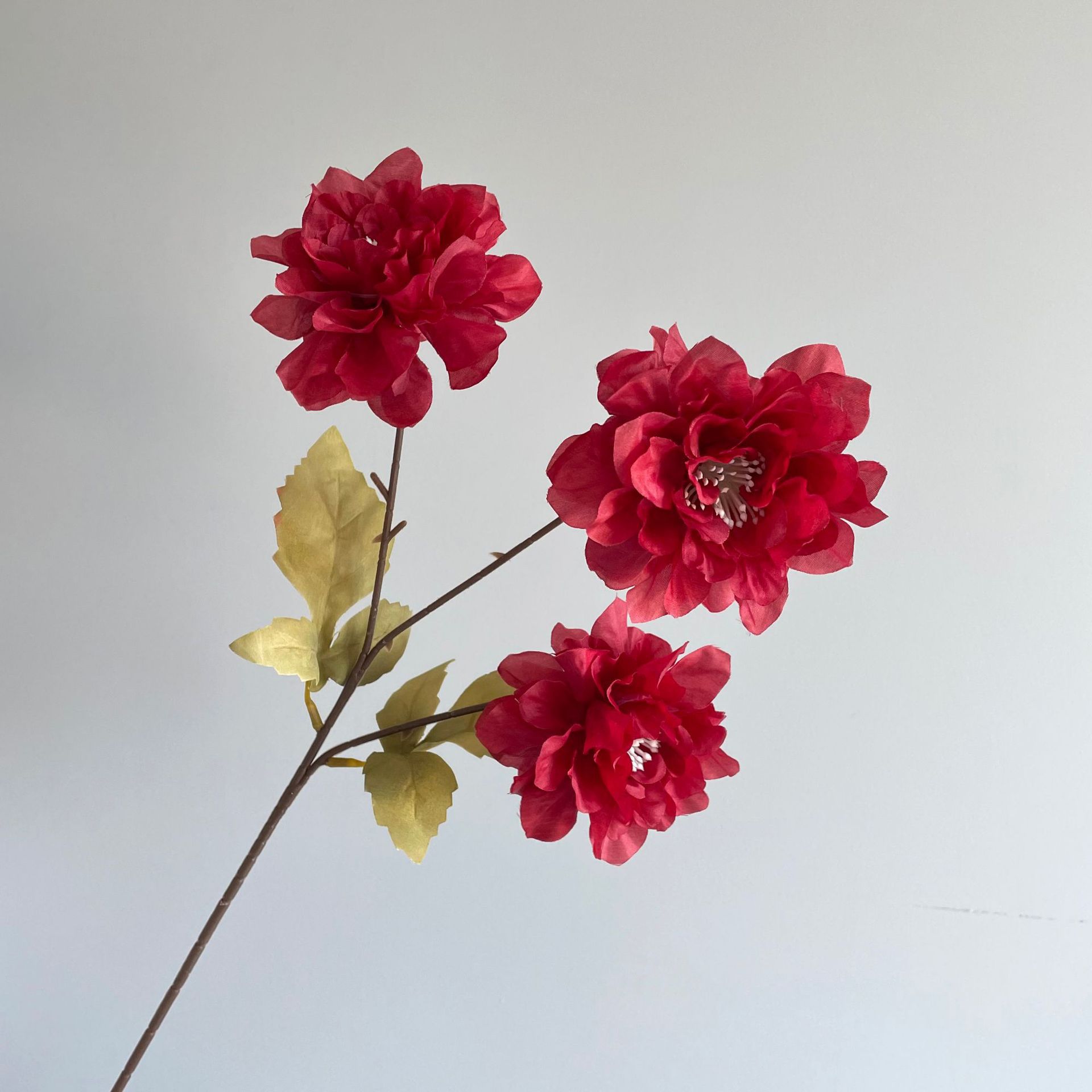 Hibiscus flower-Red