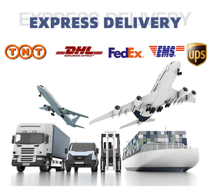 DDP verzending naar Canada, zeevracht expediteur, zeevracht express, deur-tot-deur levering, transportlogistiek van China naar Canada - Product Image 6