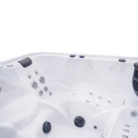 Spas Jacuzzis d'Extérieur Infinity pour 5 Personnes avec Son Intégré