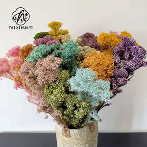 Fiore di riso conservato fiore essiccato aromaterapia Floating Flower Photography oggetti di scena fiori DIY fiore all'ingrosso natale ringraziamento - Product Image 1