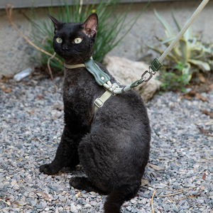 ชุดสายจูงและปลอกคอหนังแท้สำหรับแมว - ชุดเสื้อกั๊กปรับได้ป้องกันการหลุดพร้อมเชือกกลมสำหรับแมวตัวเล็กและลูกสุนัข - Product Image 3