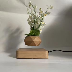 360 Suspensión de levitación magnética giratoria bonsái planta macetas para decoración Regalo boda - Product Image 1