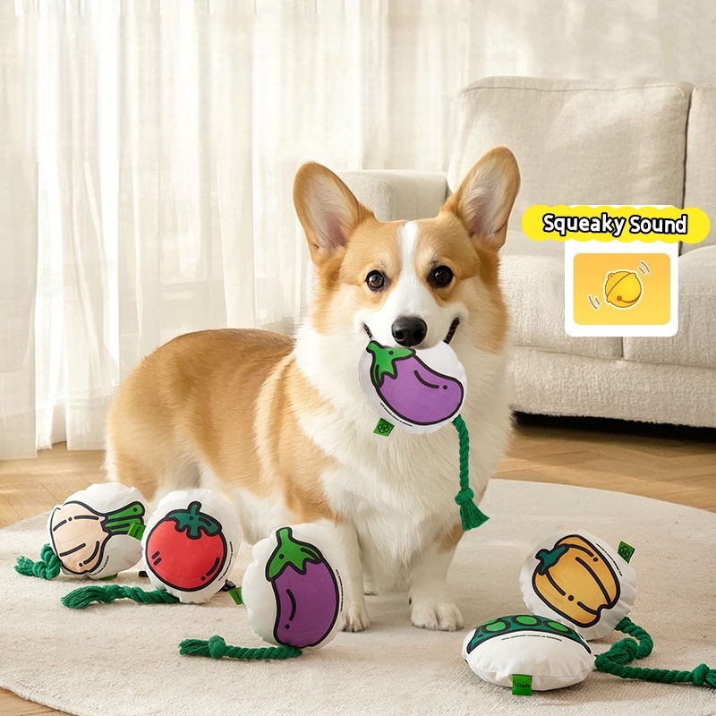 Funny Vegetable Dog Toy Set with