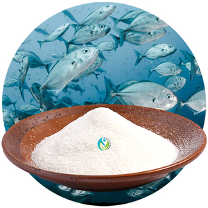 Proteine Gesicht Peptide Fisch Typ <span class=keywords><strong>I</strong></span> Hydrolysiertes marines Kollagen