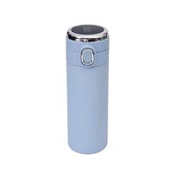 Botella de agua aislada al vacío de doble pared de 500ml, pantalla de temperatura Led inteligente, termo de acero inoxidable