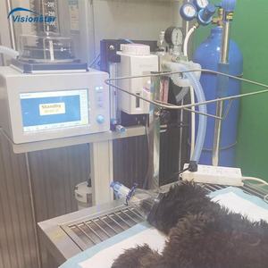 Máquina de anestesia universal para animales veterinarios, dispositivo de anestesia Veterinaria con carro - Product Image 3