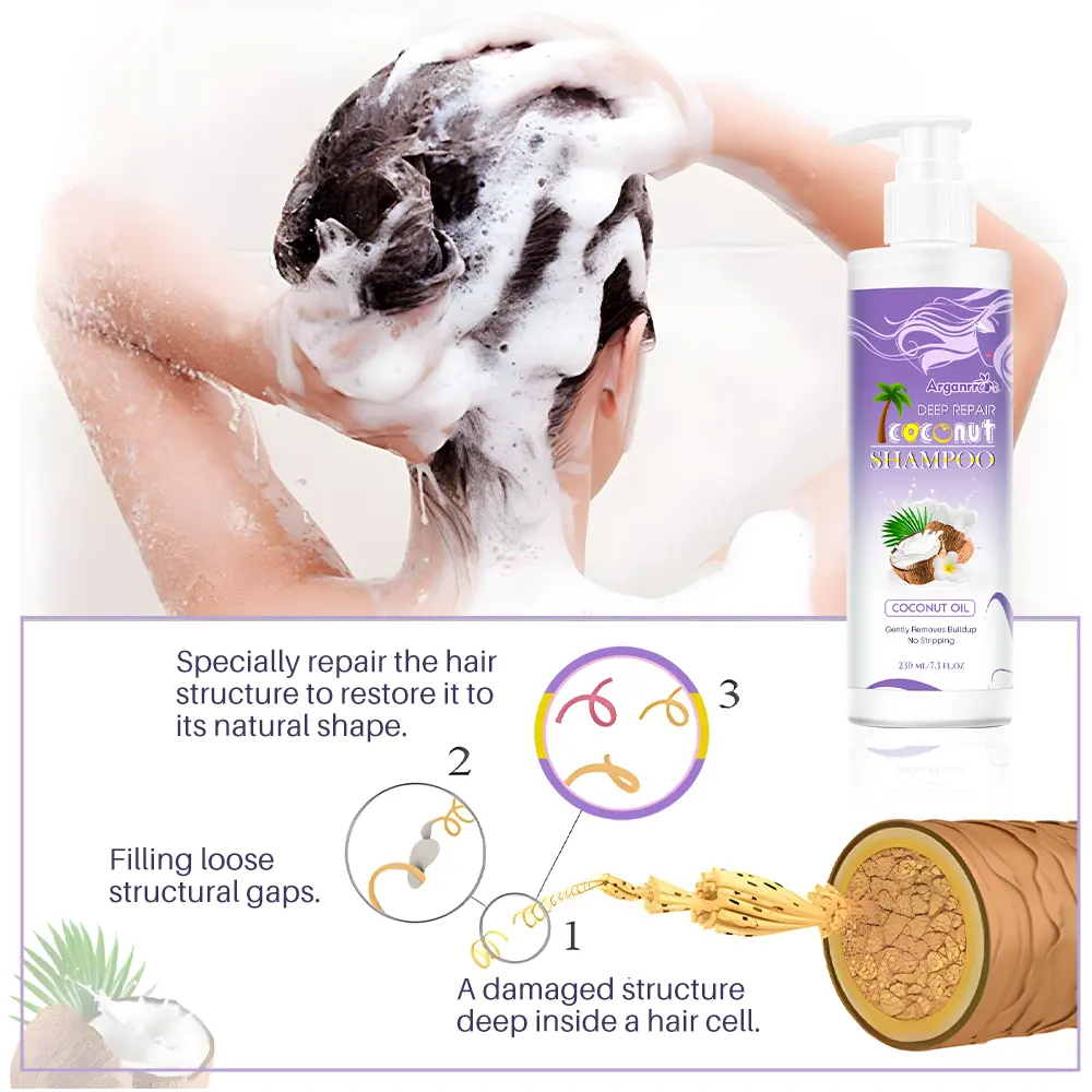 Migliorare il cuoio capelluto sano olio di cocco set per la cura dei capelli (nuovo) Shampoo e balsamo Private Label