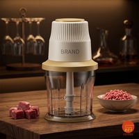 Mini hachoir électrique multi-usages pour aliments pour bébés, moteur en cuivre, hachoir à viande portable, capacité de 0,7 L, utilisation domestique et en restaurant