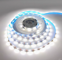 Bandes lumineuses LED RGB transfrontalières 5050 basse tension, corps de lampe en PVC, indice IP20, télécommande pour la décoration d'ambiance festive