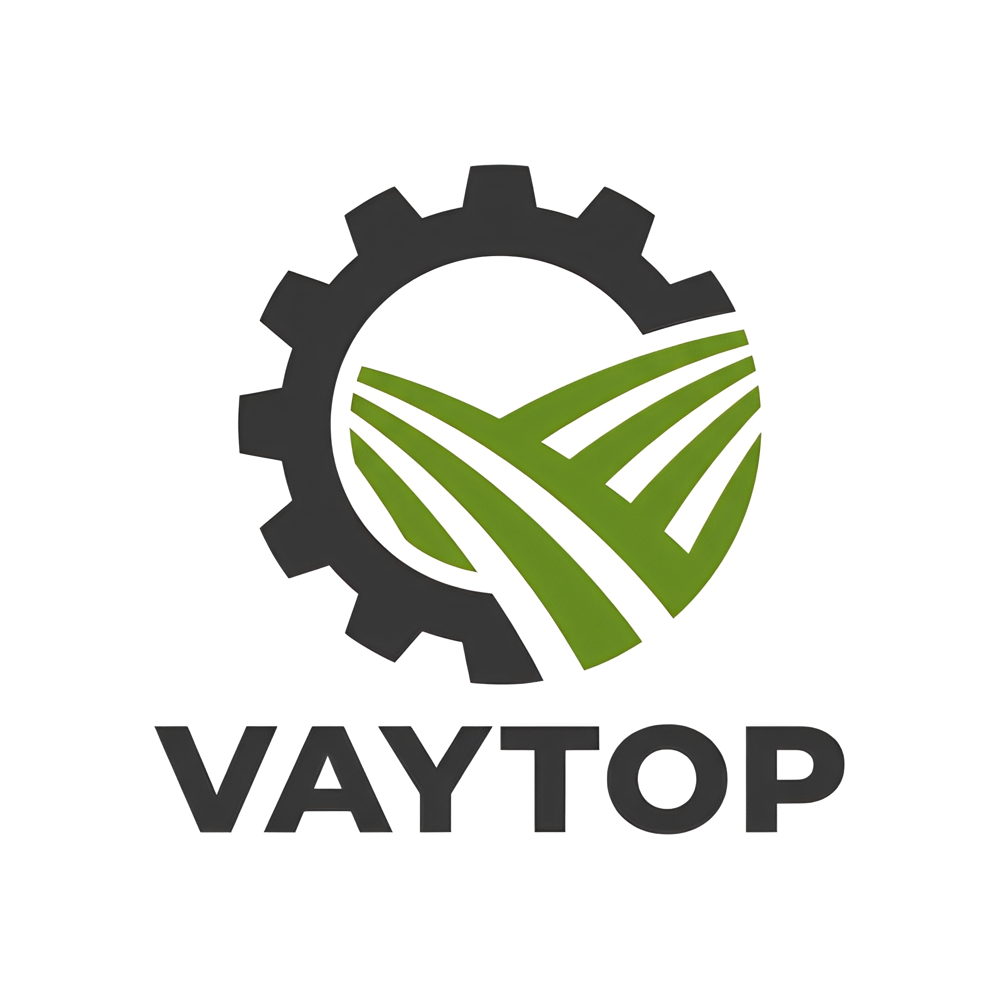 Shandong Vaytop Industrial And Trade Co., Ltd. logo