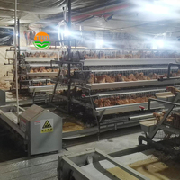 Cages de batterie commerciales poules pondeuses 3 couches 4 couches équipement d'alimentation automatique adapté aux fermes de pondeuses de poulets