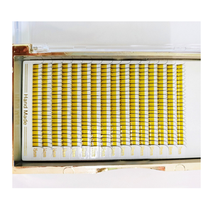 Plateau de cils individuels de maquillage quotidien 2D fait à la main de qualité supérieure modèle de ventilateur facile utilisation de beauté professionnelle conception de marque privée - Product Image 1