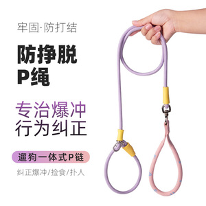 Correa para mascotas P-Rope, duradera, sin ataduras, a prueba de explosiones, para perros medianos, para paseos al aire libre - Product Image 4
