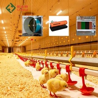 Système d'élevage automatique de poulets de haute efficacité pour poulailler