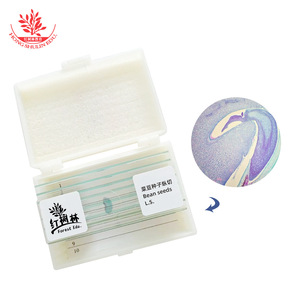 Sección longitudinal de semilla de frijol, tejido vegetativo de planta dicotiledónica, preparado para observación microscópica en biología - Product Image 4