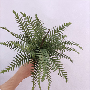 Bán Buôn Nhân Tạo Dương Xỉ Thực Vật Nhân Tạo Cây Xanh Trang Trí Thực Vật - Product Image 3