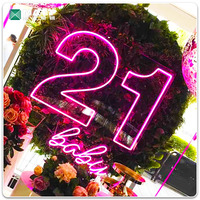 Letras y Números LED Grandes de 1, 2, 3 y 4 Pies, del 0 al 9 y de la A a la Z, Letrero Luminoso Acrílico RGB de Neón con Diseño Personalizado para Fiestas
