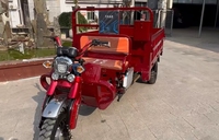 Vente chaude chinoise 3 roues nouveau style chinois camion électrique 200cc motorisé taille personnalisable tricycle cargo avec corps ouvert