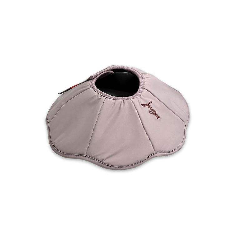 ทาโร่สีม่วง