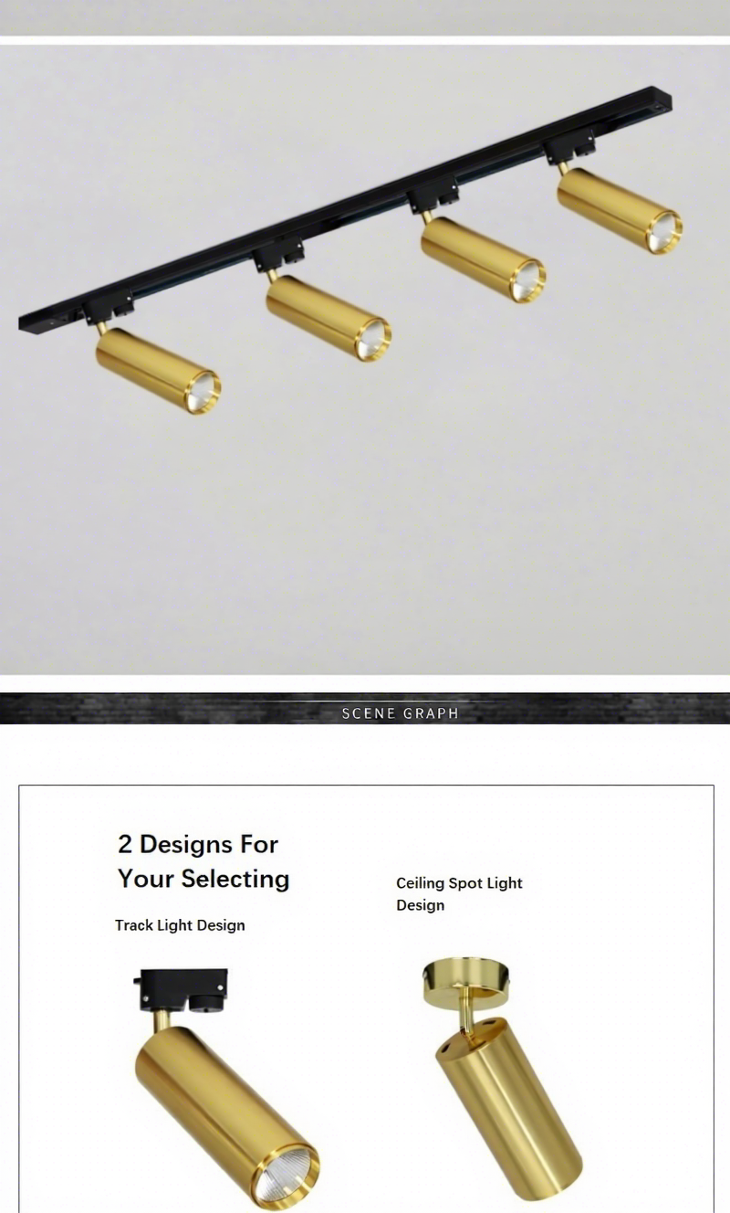 Golden Housing Ceiling