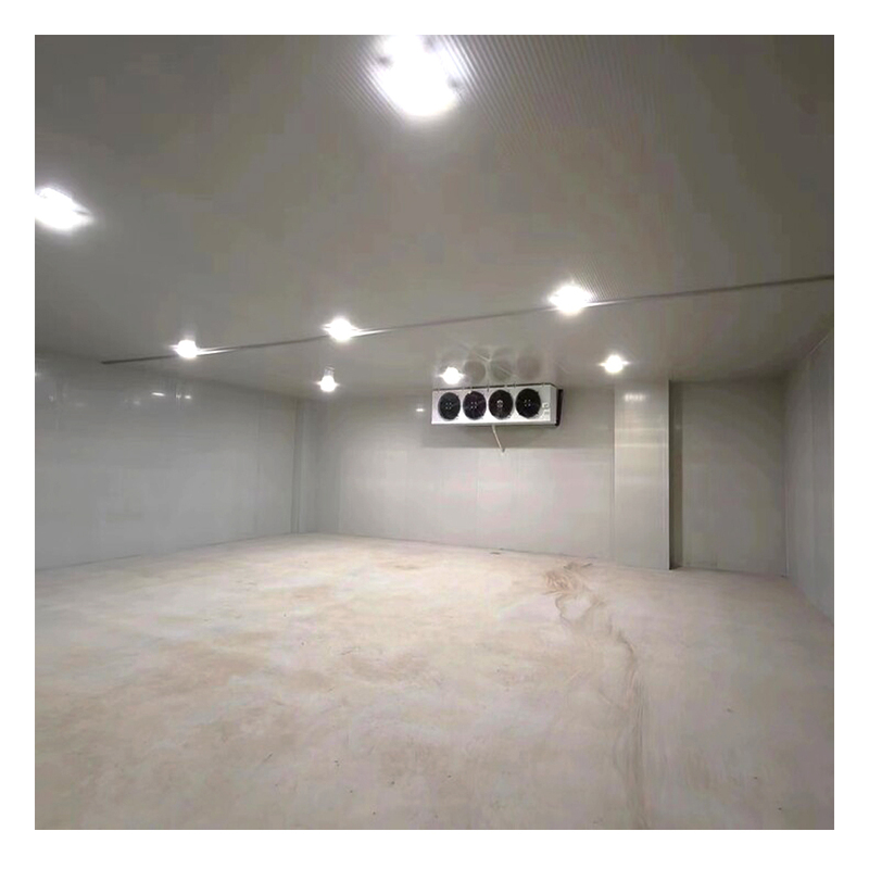 5000 Tons Cold Storage Large Quick