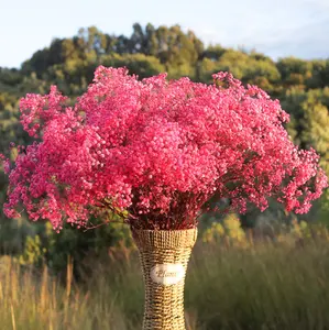 Conserver la fleur en gros, la vente comme un cadeau naturel de saint-valentin, décoration florale de mariage, gypsophile, souffle de bébé