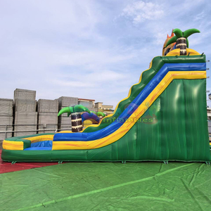 สไลเดอร์น้ำเป่าลมสำหรับเด็กในสวนหลังบ้าน พร้อมบ้านลม ท่ามกลางแสงแดด สนุกสนานด้วยสระน้ำและต้นปาล์มเขตร้อน - Product Image 6