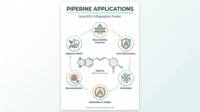 Poudre de piperine 95% CAS 94-62-2 Alcaloïde naturel issu du Piper Nigrum (poivre noir)