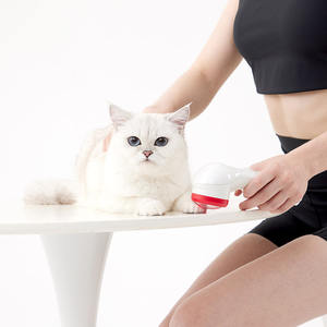 Peralatan <span class=keywords><strong>Laser</strong></span> genggam tingkat cahaya rendah, instrumen terapi <span class=keywords><strong>Laser</strong></span> 808nm 650nm untuk fisioterapi penyembuhan luka hewan peliharaan - Product Image 1