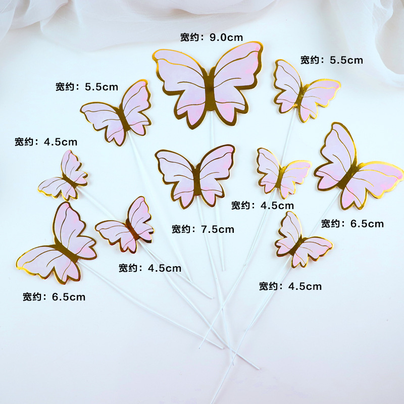 Butterfly-05