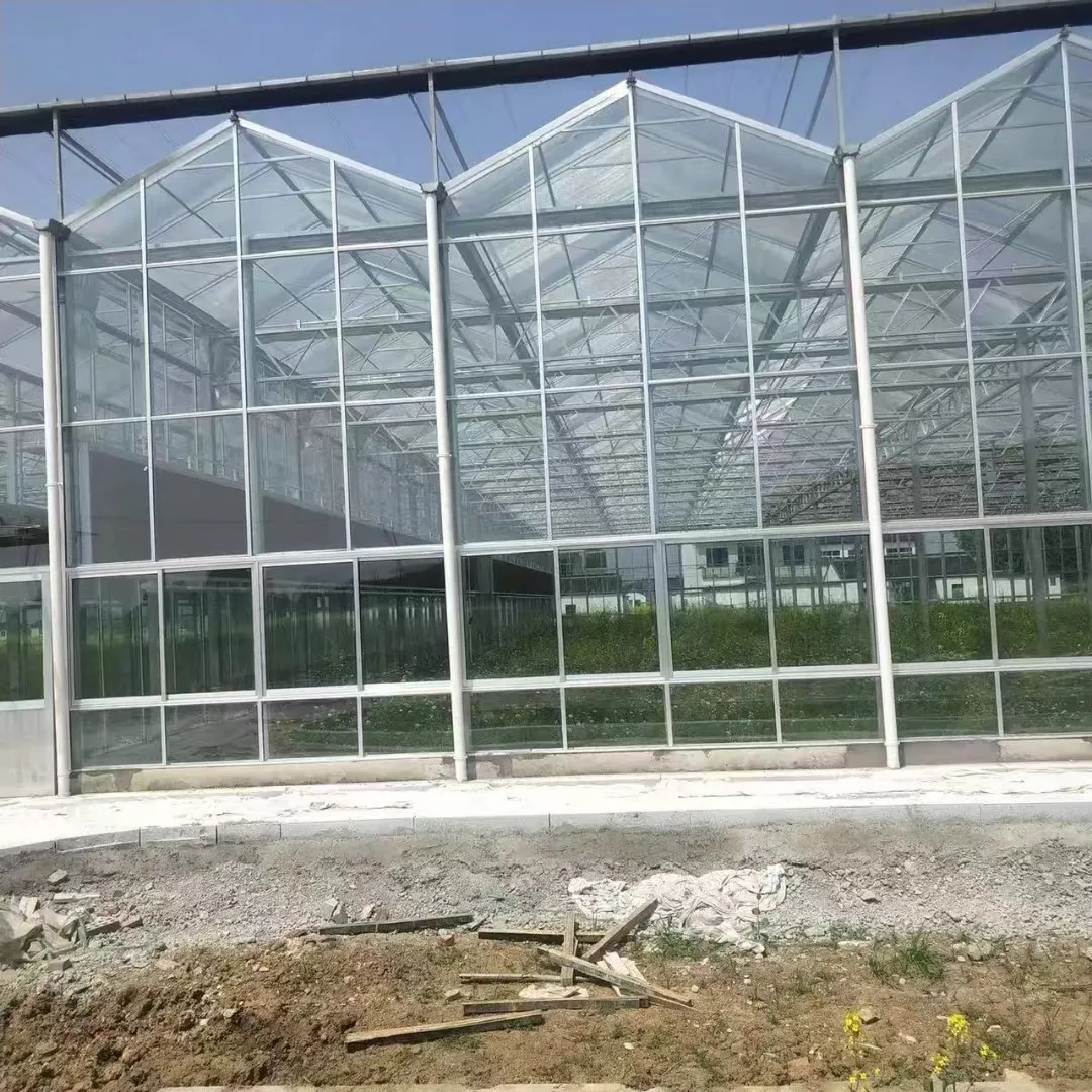 Agricultural Solar Farm Ground Mounting Power Station Solar greenhouse