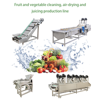 DZJX Volledig Automatische Productielijn voor Geconcentreerd Fruitpulp voor Duindoorn Sap Puree Drank Pulpmachine