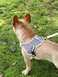 20Mm <span class=keywords><strong>Snap</strong></span> Móc Nhiệm Vụ Nặng Nề Túi Kim Loại Phần Cứng Nhà Sản Xuất Cung Cấp Biểu Tượng Tùy Chỉnh Kim Loại Vòng Chìa Khóa Khóa Cho Con Chó Cổ Áo - Product Image 6