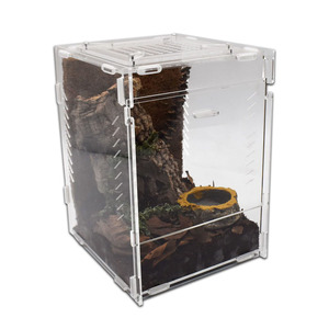 Terrario Acrílico Arbóreo Fácil de Desmontar para Arañas, Túranulas y Reptiles - Product Image 2