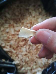 การโกนไม้สน2-15มม. สำหรับเครื่องนอนสัตว์ปีกจากเวียดนาม - Product Image 3