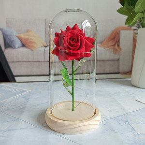 Romantico eterno rosa rossa in cupola di vetro con caldo bianco LED lucine per sempre amore regalo per anniversario compleanno di San Valentino - Product Image 5