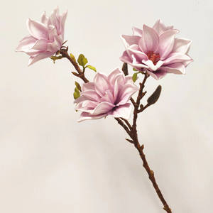 Orquídeas <span class=keywords><strong>Dendrobium</strong></span> artificiales de seda para decoraciones de bodas y decoraciones para el hogar Flor preservada - Product Image 5