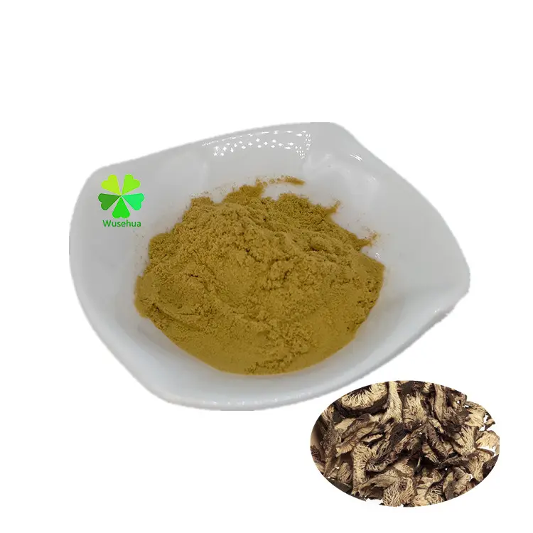 High Quality Organic 10:1 Black Cohosh Extract Powder