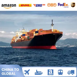 Высококонкурентоспособные международные морские перевозки Шэньчжэнь из Китая в Лабаса Фиджи острова, грузовые перевозки для Ddp экспедитора