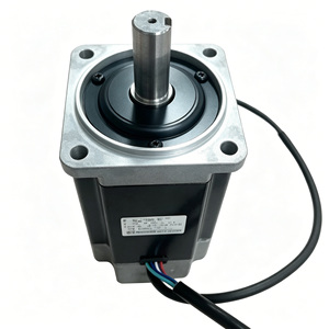 Motor de Reparación In Situ de Alta Calidad SGMJV-04AAA21 SGMJV-08AAA21 SGMJV-01AAA21 SGMJV-02AAA21 para un Motor Estable y Rápido - Product Image 4