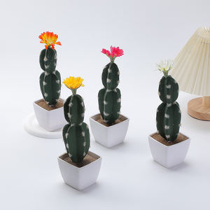 Plante verte petit Pot Cactus en pot intérieur figue de barbarie succulente fleur plante bureau décoration de bureau - Product Image 3