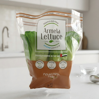 Sacs trapézoïdaux durables en fil CPP pour l'emballage de la laitue et des produits frais avec fermeture sécurisée pour les marchés agricoles et les supermarchés