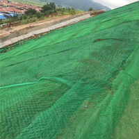Géomate en plastique HDPE 3D pour le contrôle de l'érosion, renforcement du gazon, plantation d'herbe, anti-corrosion, stabilisation des pentes de rivière et des talus